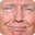 trump Discord emoji