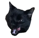 HeraSnacc