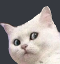 yohoo Discord emoji