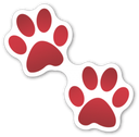 lapki Discord emoji
