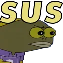 Sus