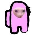 whenbingusissus