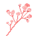 babysbreath1