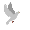 dovepeace