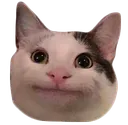 Whydidyouspeak