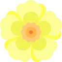 yellow_flower