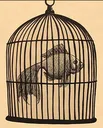 birdcage1
