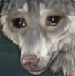 sadboi
