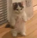 MomIFrewUp