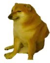 cheems cheems