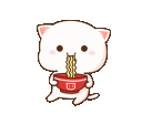ex_noodle_cat