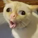 1cough 1cough