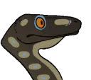 TroodonBob TroodonBob
