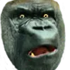 DansGorilla