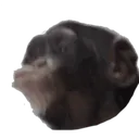 monke