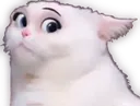 CatSus