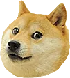 ConcernDoge