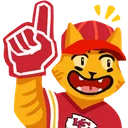 Catsair_Superbowl