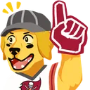 Dogsair_Superbowl