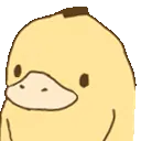 duckparty