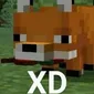 XD