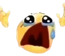 Emoji Pic Cry Discord Emoji