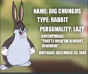 bigchungus