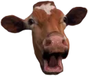 POGGERMOO