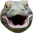 PogU