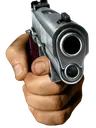Gun