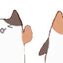 nyochioWave