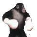 monkefightJK