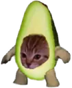 Aguacato