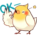 B_BirbOK