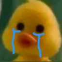 DuckSad Discord Emoji