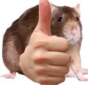 ThumbsUpRemi ThumbsUpRemi