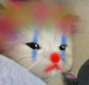 clown_cat Discord emoji