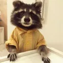 raccoonman