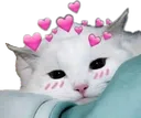 cute_cat