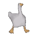 6542_DuckDance