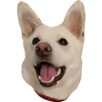 NeoHappy112