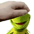 KermitPat
