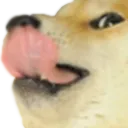 dogeLick
