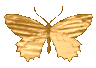 gif_stay