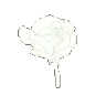 gif_stay