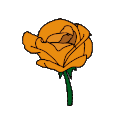 gif_stay