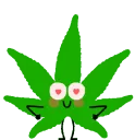 yherbitual