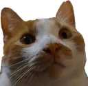 FR0GE_TankStare FR0GE_TankStare