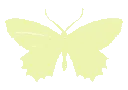 3butterfly