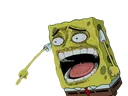 spongepoint